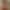 Valentina's avatar