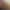 Ramona's avatar