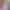 Sierra - Gallery image