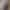 Catalina - Gallery image