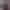 Maya - Gallery image