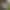 Declan - Gallery image