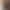 Soren - Main profile image