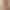 Ginger - Main profile image