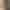 Shay - Gallery image