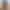 Rei - Gallery image