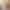 Olivia - Main profile image