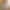Sienna - Gallery image