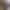 Sierra - Gallery image