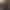 Weston - Main profile image