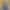 Sierra - Main profile image