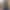 Maya - Main profile image