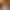 Catalina - Gallery image