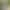 Meadow - Gallery image