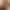 Greta - Main profile image