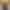 Sierra - Gallery image