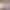 Jude - Gallery image