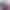Sierra - Gallery image