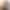 Maya - Gallery image