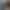 Ava - Gallery image