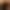Captain profile image