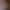 Ruby - Gallery image
